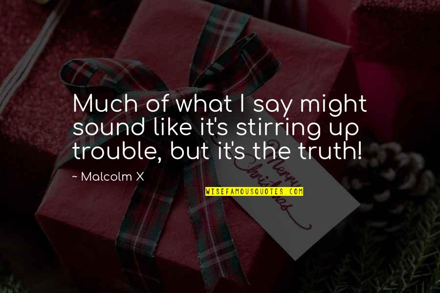 The Sound Of Truth Quotes By Malcolm X: Much of what I say might sound like