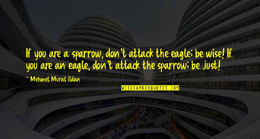The Sparrow Quotes By Mehmet Murat Ildan: If you are a sparrow, don't attack the
