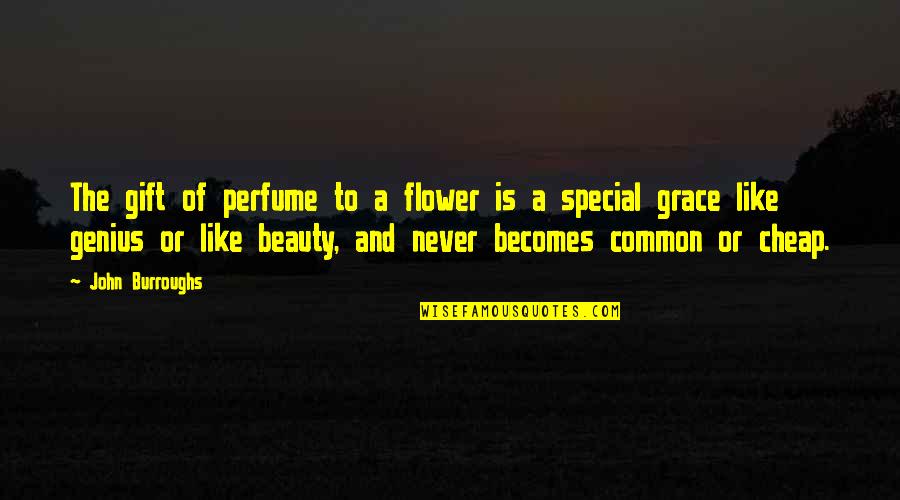 The Special Gift Quotes By John Burroughs: The gift of perfume to a flower is