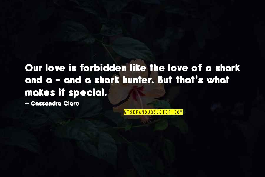 The Special Love Quotes By Cassandra Clare: Our love is forbidden like the love of