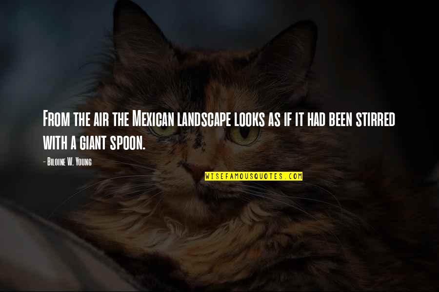The Spoon Quotes By Biloine W. Young: From the air the Mexican landscape looks as The Spoon Quotes By Biloine W. Young: From the air the Mexican landscape looks as