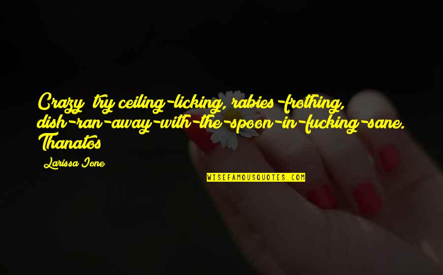 The Spoon Quotes By Larissa Ione: Crazy? try ceiling-licking, rabies-frothing, dish-ran-away-with-the-spoon-in-fucking-sane. Thanatos The Spoon Quotes By Larissa Ione: Crazy? try ceiling-licking, rabies-frothing, dish-ran-away-with-the-spoon-in-fucking-sane. Thanatos