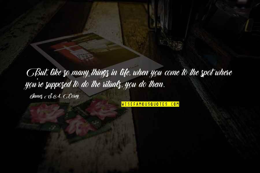 The Spot Quotes By James S.A. Corey: But, like so many things in life, when The Spot Quotes By James S.A. Corey: But, like so many things in life, when