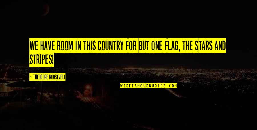 The Stars And Stripes Quotes By Theodore Roosevelt: We have room in this country for but The Stars And Stripes Quotes By Theodore Roosevelt: We have room in this country for but