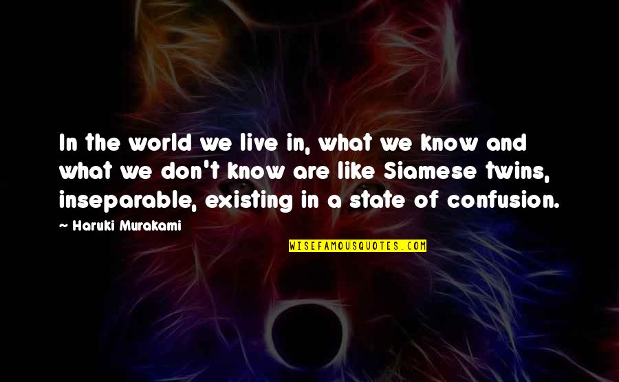 The State Of Our World Quotes By Haruki Murakami: In the world we live in, what we