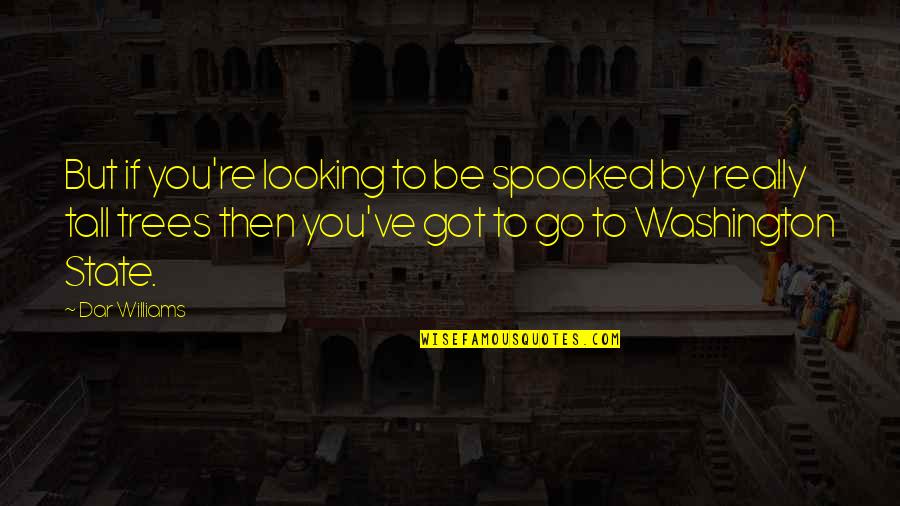 The State Of Washington Quotes By Dar Williams: But if you're looking to be spooked by The State Of Washington Quotes By Dar Williams: But if you're looking to be spooked by