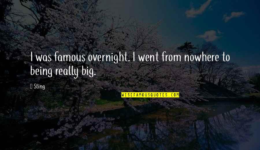 The Sting Famous Quotes By Sting: I was famous overnight. I went from nowhere