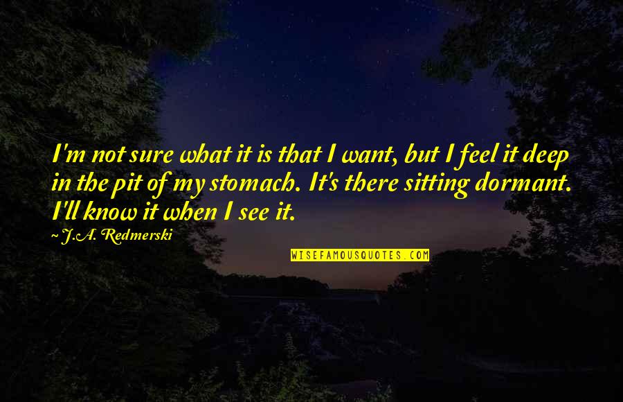 The Stomach Quotes By J.A. Redmerski: I'm not sure what it is that I