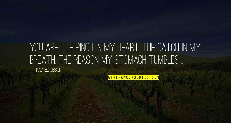 The Stomach Quotes By Rachel Gibson: You are the pinch in my heart. The