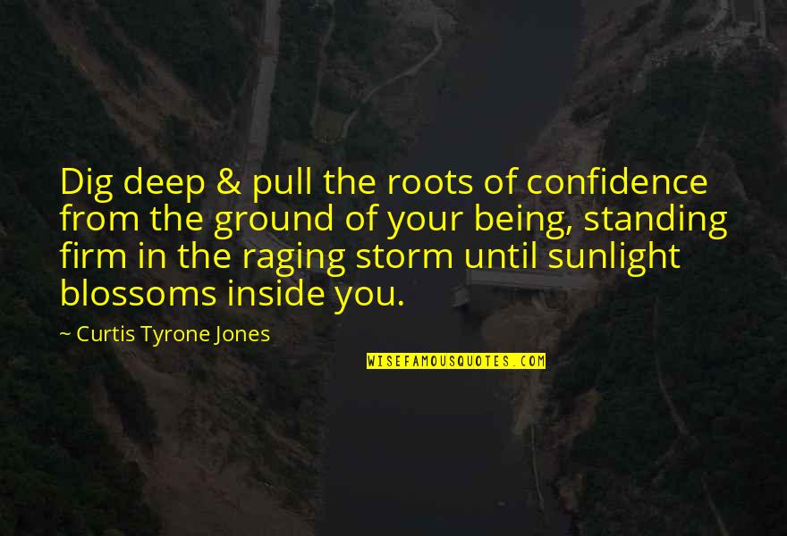 The Storm Being Over Quotes By Curtis Tyrone Jones: Dig deep & pull the roots of confidence The Storm Being Over Quotes By Curtis Tyrone Jones: Dig deep & pull the roots of confidence