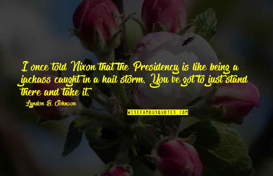 The Storm Being Over Quotes By Lyndon B. Johnson: I once told Nixon that the Presidency is The Storm Being Over Quotes By Lyndon B. Johnson: I once told Nixon that the Presidency is