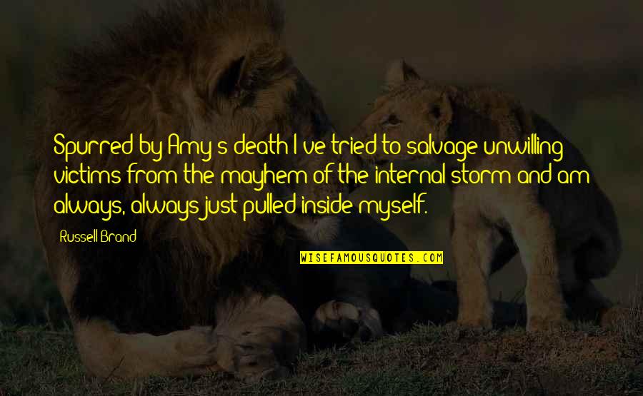 The Storm Inside Quotes By Russell Brand: Spurred by Amy's death I've tried to salvage The Storm Inside Quotes By Russell Brand: Spurred by Amy's death I've tried to salvage