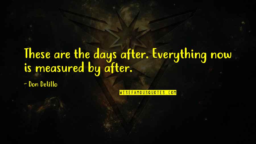 The Stranger Caretaker Quotes By Don DeLillo: These are the days after. Everything now is