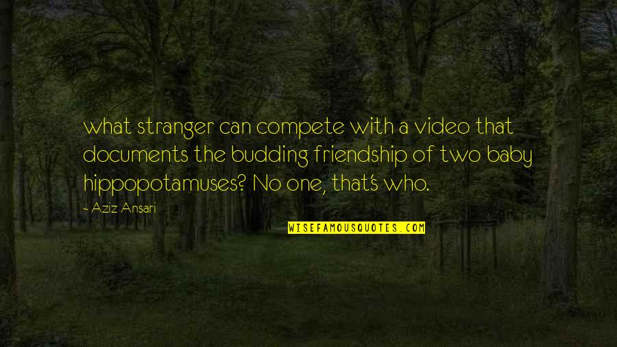 The Stranger Quotes By Aziz Ansari: what stranger can compete with a video that