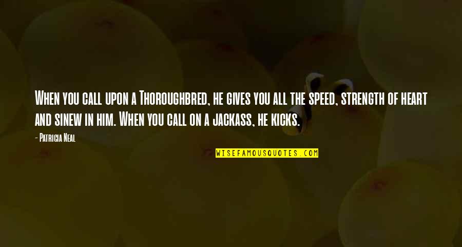 The Strength Of The Heart Quotes By Patricia Neal: When you call upon a Thoroughbred, he gives The Strength Of The Heart Quotes By Patricia Neal: When you call upon a Thoroughbred, he gives