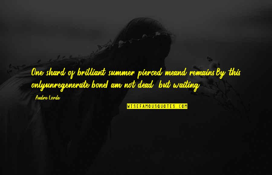 The Summer Remains Quotes By Audre Lorde: One shard of brilliant summer pierced meand remains.By The Summer Remains Quotes By Audre Lorde: One shard of brilliant summer pierced meand remains.By