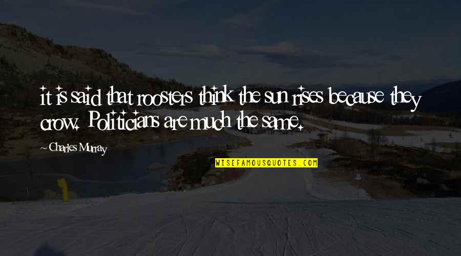 The Sun Also Rises Quotes By Charles Murray: it is said that roosters think the sun