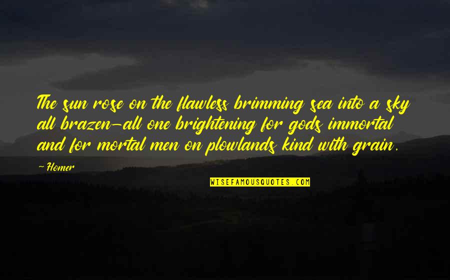 The Sun And Sky Quotes By Homer: The sun rose on the flawless brimming sea The Sun And Sky Quotes By Homer: The sun rose on the flawless brimming sea