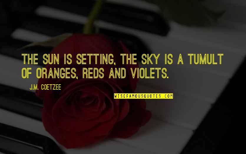 The Sun And Sky Quotes By J.M. Coetzee: The sun is setting, the sky is a
