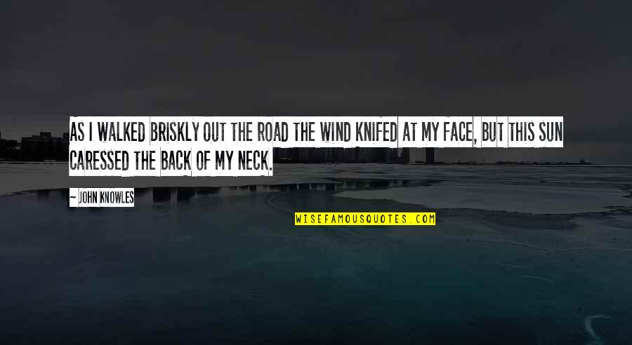 The Sun In Your Face Quotes By John Knowles: As I walked briskly out the road the The Sun In Your Face Quotes By John Knowles: As I walked briskly out the road the