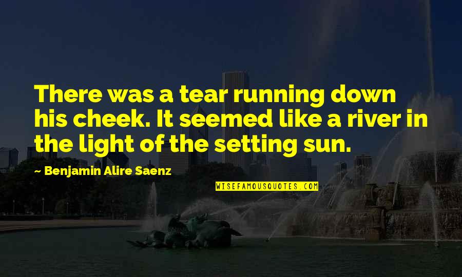 The Sun Setting Quotes By Benjamin Alire Saenz: There was a tear running down his cheek.