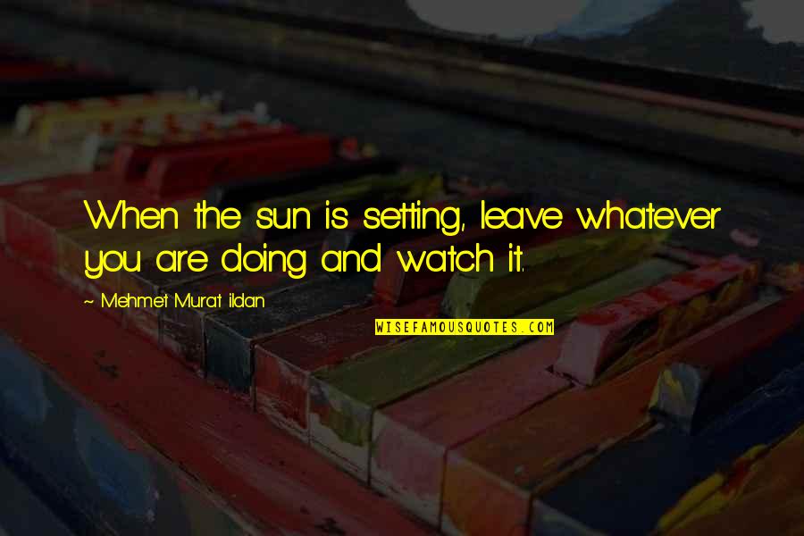 The Sun Setting Quotes By Mehmet Murat Ildan: When the sun is setting, leave whatever you