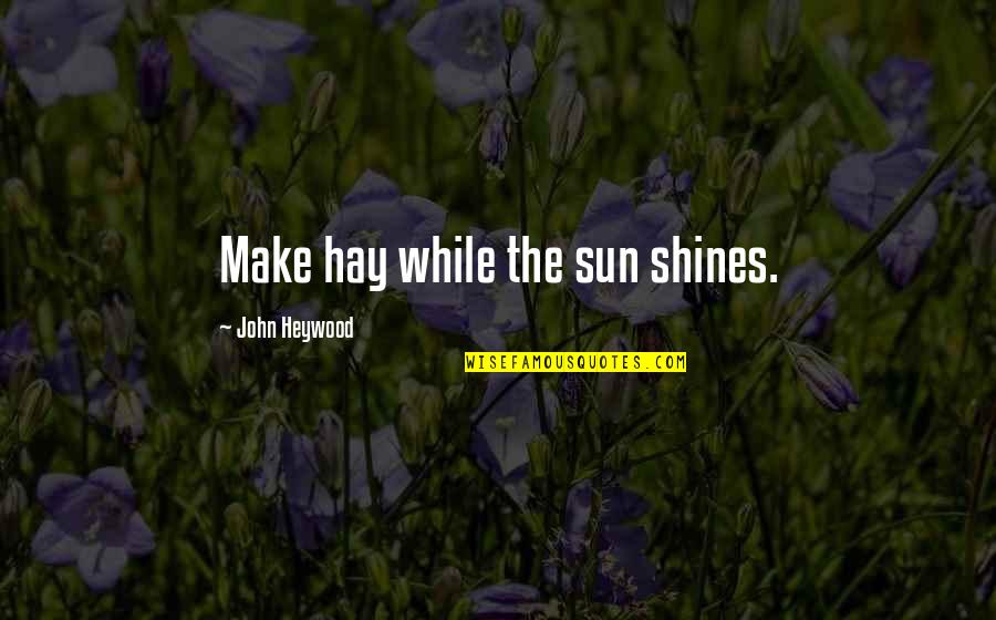 The Sun Shining Quotes By John Heywood: Make hay while the sun shines.