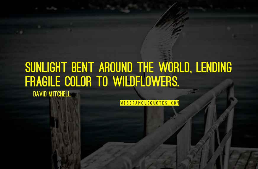 The Sunlight Quotes By David Mitchell: Sunlight bent around the world, lending fragile color