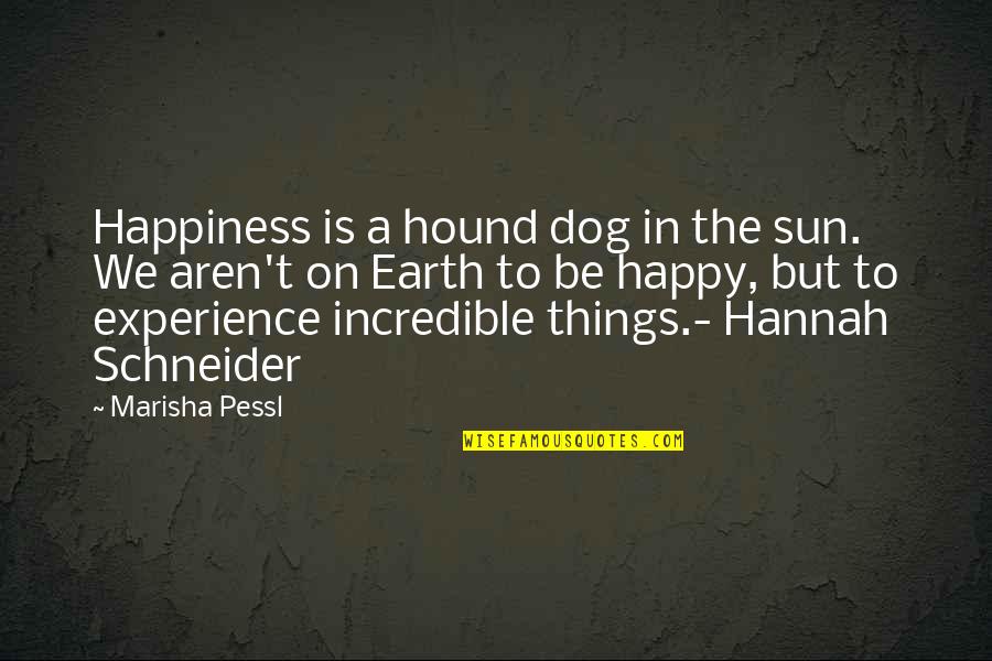 The Sweetest Guy Quotes By Marisha Pessl: Happiness is a hound dog in the sun.
