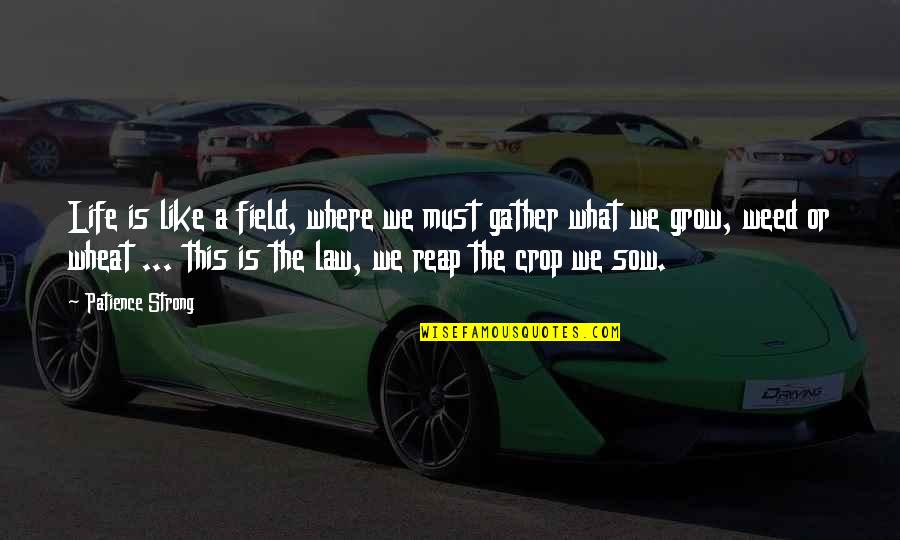 The Sweetest Thing Famous Quotes By Patience Strong: Life is like a field, where we must The Sweetest Thing Famous Quotes By Patience Strong: Life is like a field, where we must