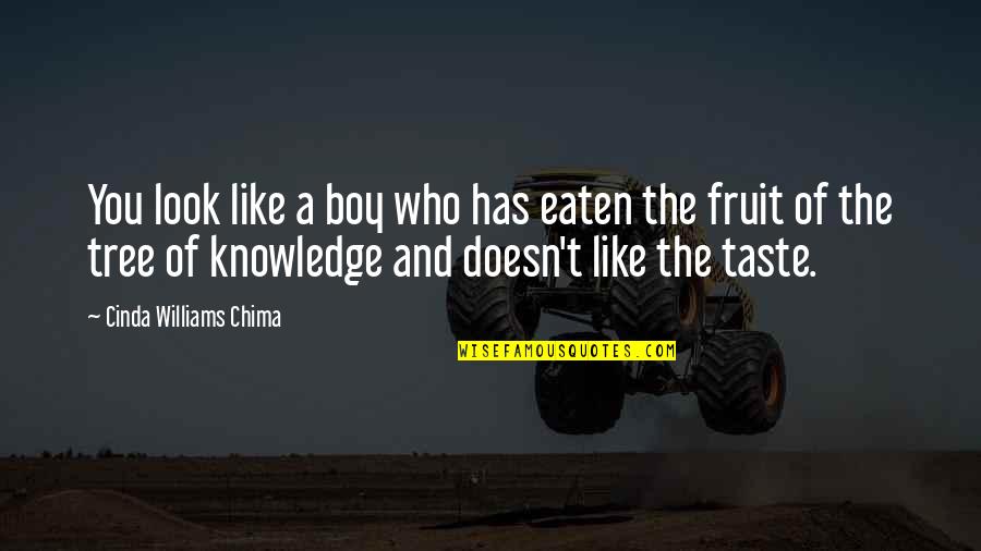 The Taste Of You Quotes By Cinda Williams Chima: You look like a boy who has eaten