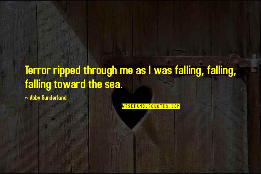 The Terror Quotes By Abby Sunderland: Terror ripped through me as I was falling,