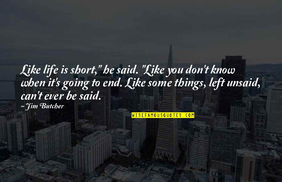 The Things Left Unsaid Quotes By Jim Butcher: Like life is short," he said. "Like you
