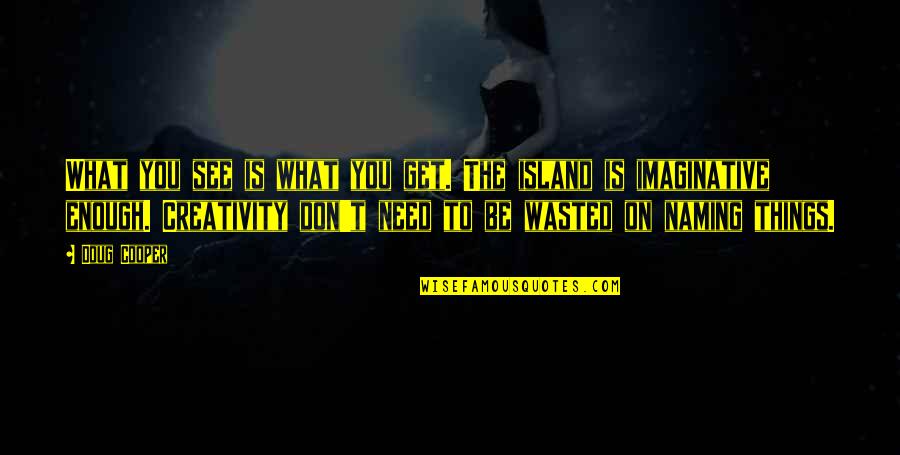 The Things You See Quotes By Doug Cooper: What you see is what you get. The