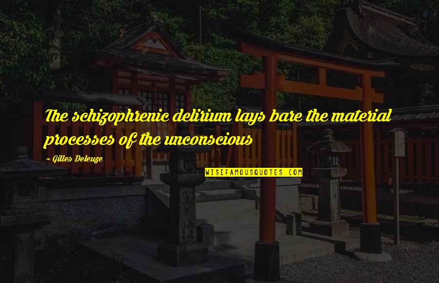 The Third Commandment Quotes By Gilles Deleuze: The schizophrenic delirium lays bare the material processes