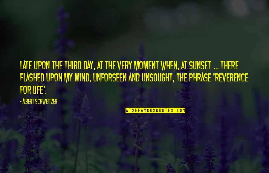 The Third Day Quotes By Albert Schweitzer: Late upon the third day, at the very