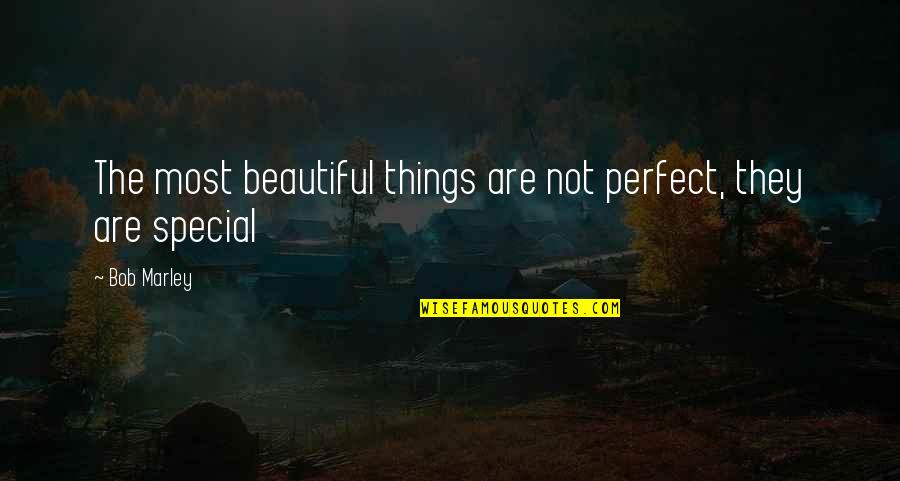 The Thorn Birds Meggie Quotes By Bob Marley: The most beautiful things are not perfect, they