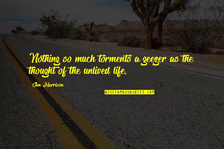 The Thought Life Quotes By Jim Harrison: Nothing so much torments a geezer as the