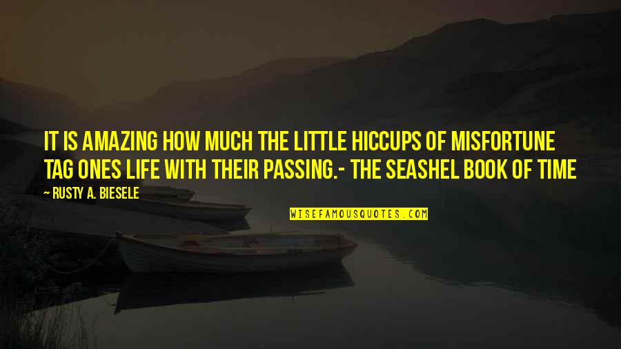 The Time Passing Quotes By Rusty A. Biesele: It is amazing how much the little hiccups