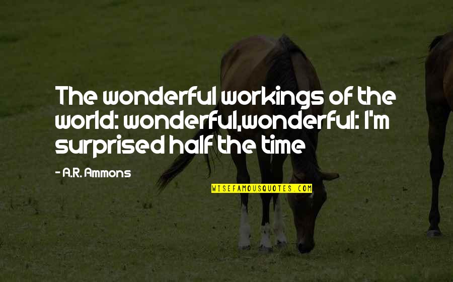 The Time Quotes By A.R. Ammons: The wonderful workings of the world: wonderful,wonderful: I'm