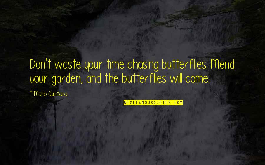 The Time Will Come Quotes By Mario Quintana: Don't waste your time chasing butterflies. Mend your