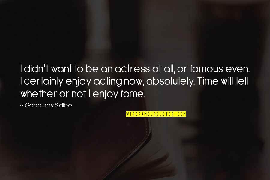 The Time Will Tell Quotes By Gabourey Sidibe: I didn't want to be an actress at