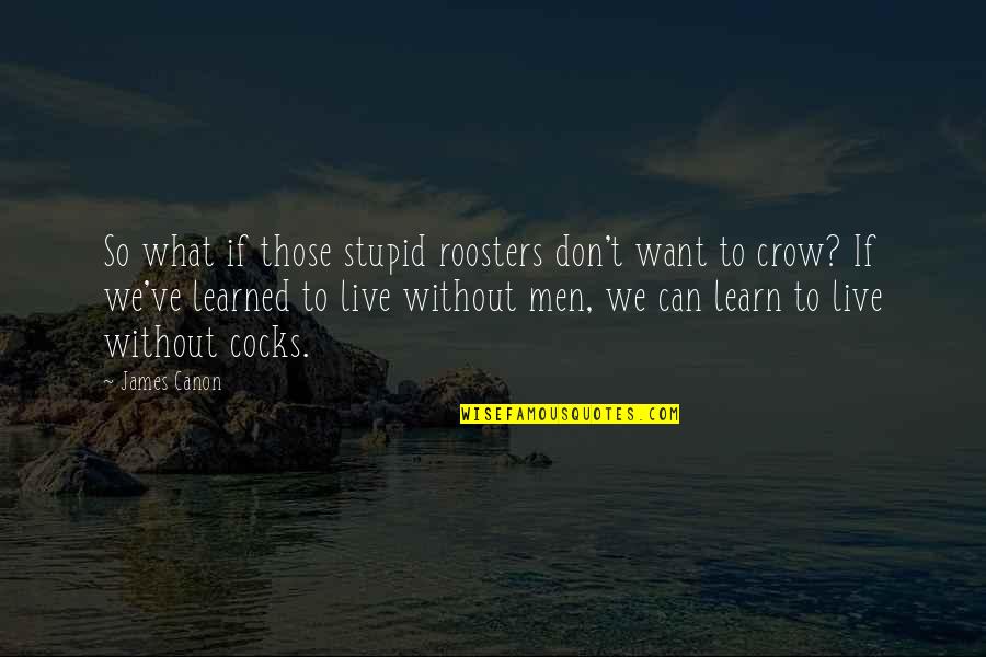 The Town You Live In Quotes By James Canon: So what if those stupid roosters don't want