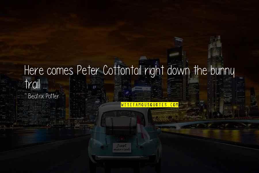 The Trail Quotes By Beatrix Potter: Here comes Peter Cottontail right down the bunny The Trail Quotes By Beatrix Potter: Here comes Peter Cottontail right down the bunny