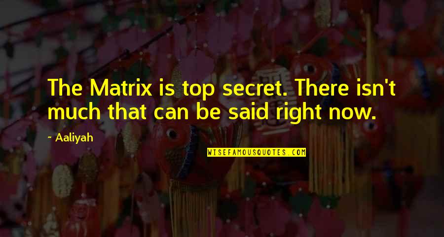The Troop Nick Cutter Quotes By Aaliyah: The Matrix is top secret. There isn't much