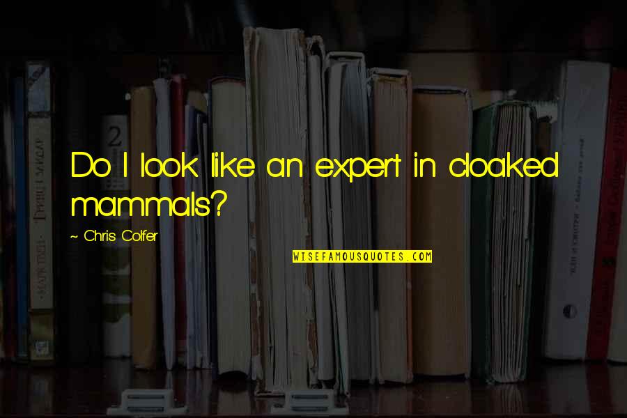 The Troop Nick Cutter Quotes By Chris Colfer: Do I look like an expert in cloaked The Troop Nick Cutter Quotes By Chris Colfer: Do I look like an expert in cloaked