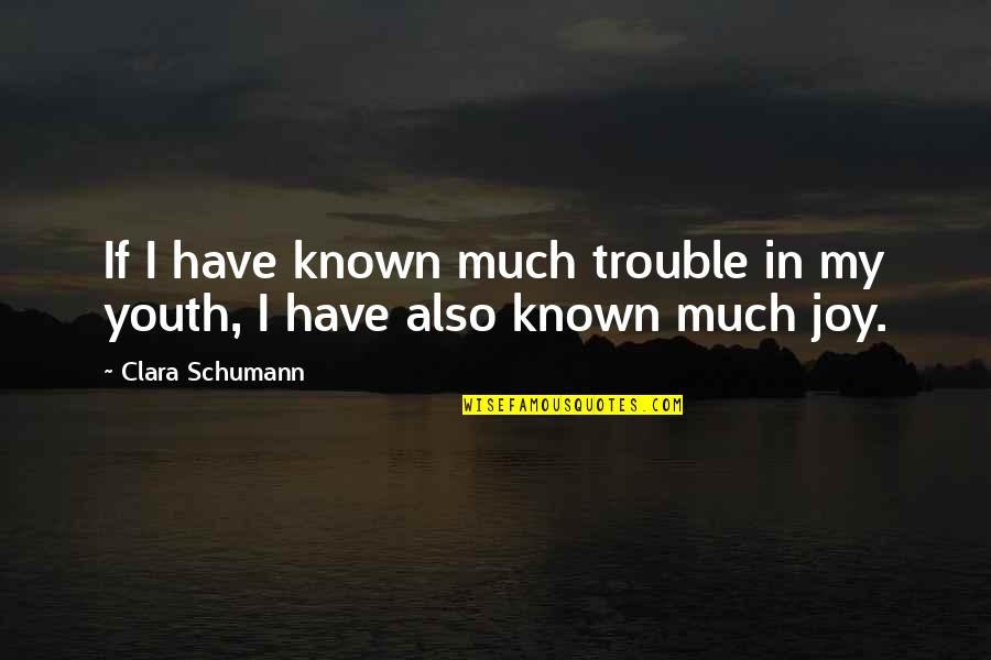 The Trouble With Youth Quotes By Clara Schumann: If I have known much trouble in my