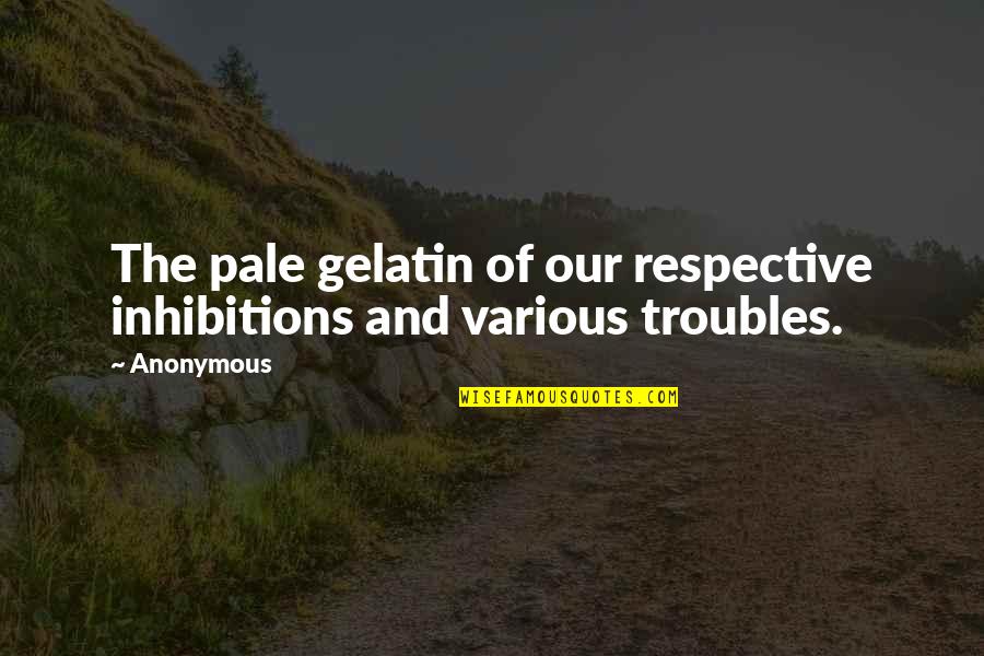 The Troubles Quotes By Anonymous: The pale gelatin of our respective inhibitions and