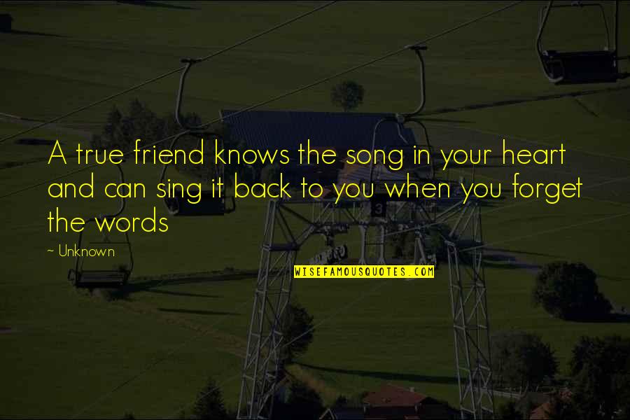 The True Friendship Quotes By Unknown: A true friend knows the song in your