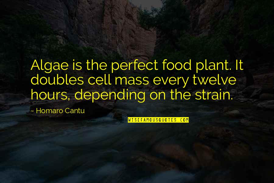 The Twelve Quotes By Homaro Cantu: Algae is the perfect food plant. It doubles